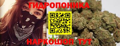 ECSTASY Донской