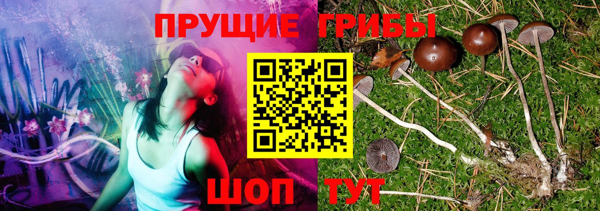 Мичуринск  цена   Псилоцибиновые грибы Psilocybe  Вход с VPN  Галлюциногенные грибы ЛСД 