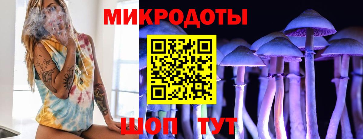 Псилоцибиновые грибы Cubensis Мичуринск
